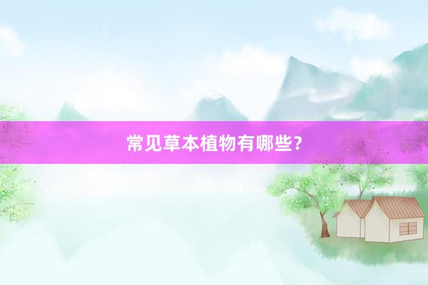 常见草本植物有哪些?