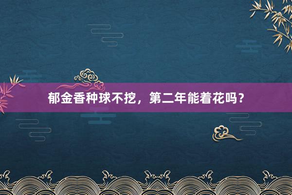 郁金香种球不挖，第二年能着花吗？