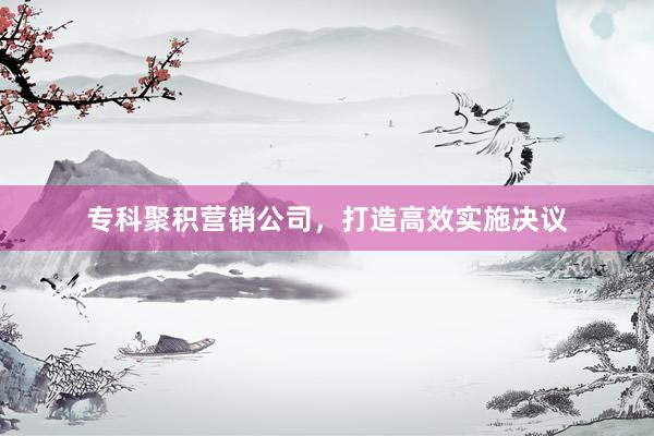 专科聚积营销公司，打造高效实施决议